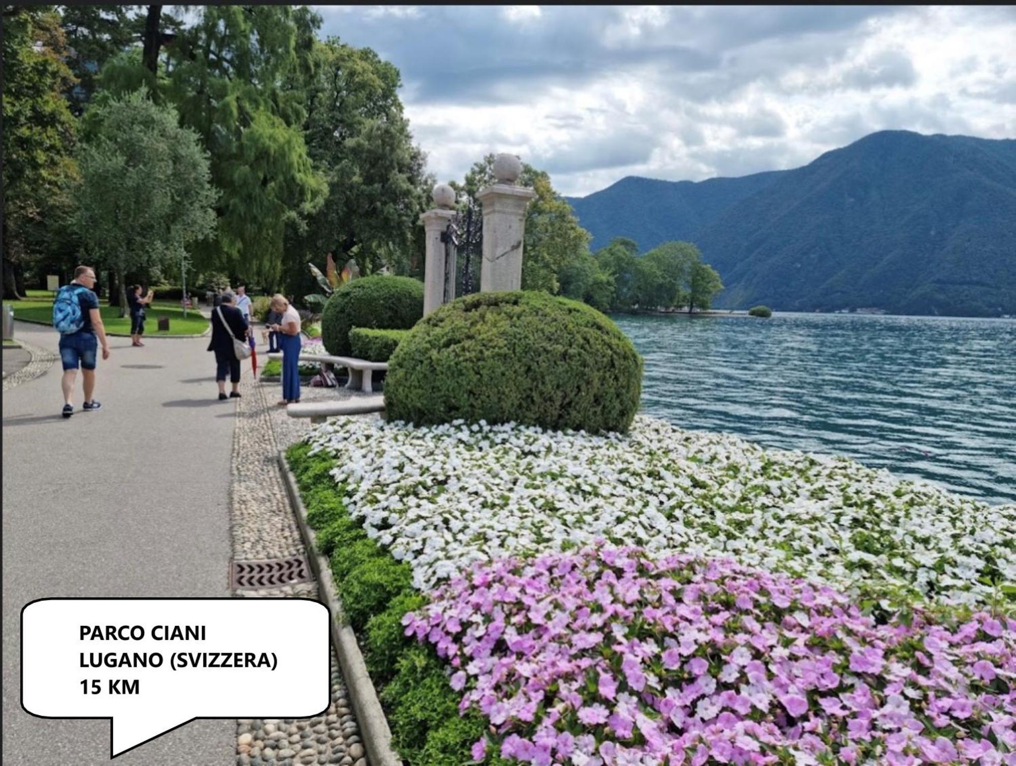 Ca Rosina Casavacanze Brusimpiano Bagian luar foto